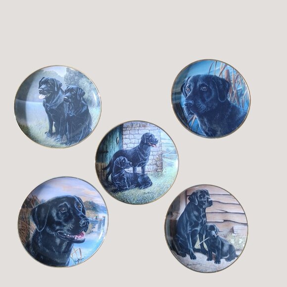 Labrador Retriever Collectible Franklin Mint Decorative Plates Set Of 5 - Picture 11 of 14